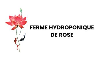 Ferme Hydroponique de Rose