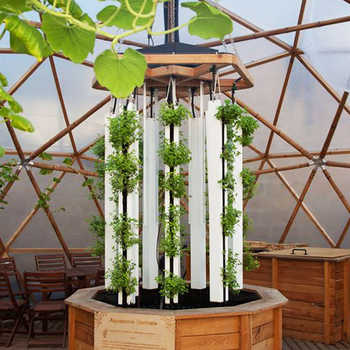 Notre oasis sous dôme à Strasbourg