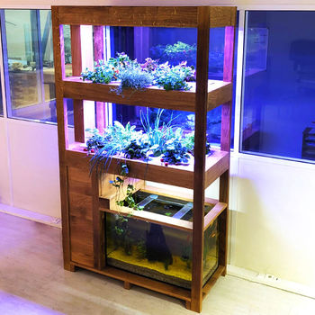 Photo de notre système Herbarium