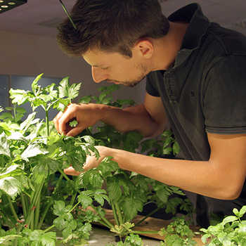 Photo de notre équipe, dans notre serre aquaponique