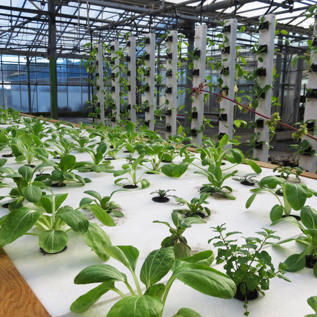 Systèmex verticaux et horizontaux à taille industrielle